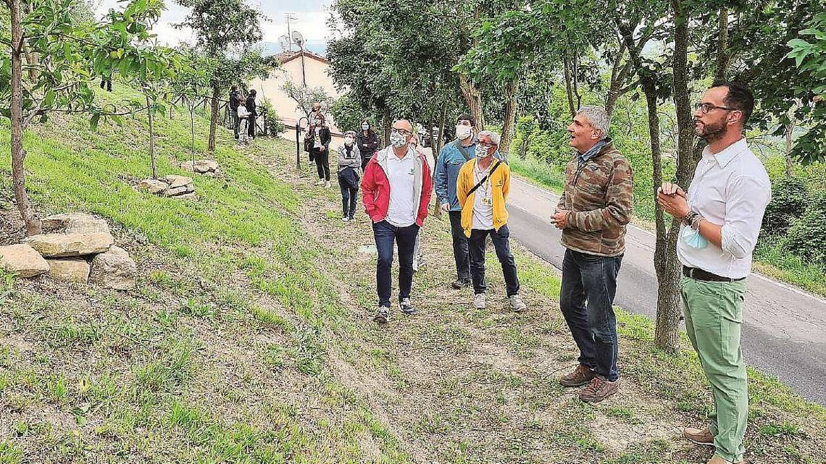 Cesena, gelatiere crea un rifugio in collina per gli antichi frutti