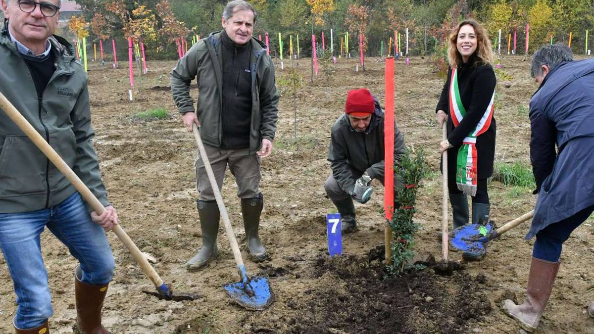 Piantumazione di alberi e raccolta di plastica. Il welfare è green