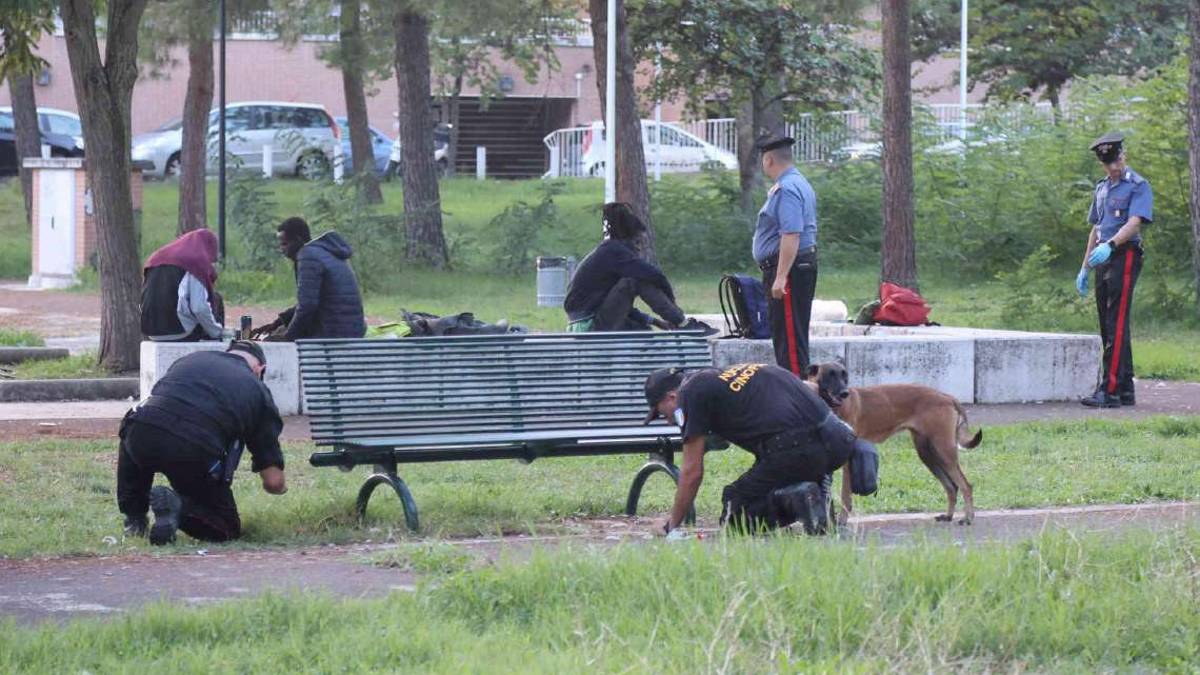 Cesena: controlli e denunce per detenzione e spaccio di droga