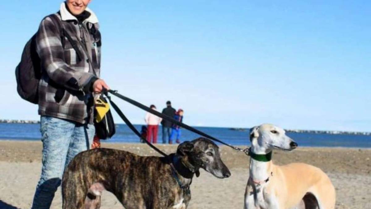 Cesenatico, raduno coi levrieri salvati dalla soppressione