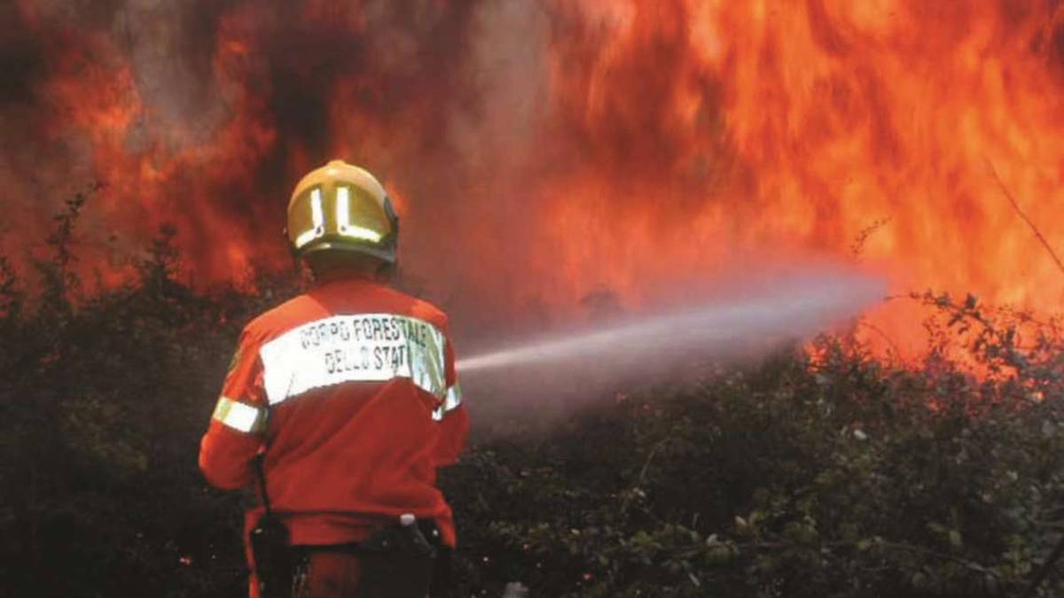 Le polveri sottili degli incendi più nocive di quelle dello smog