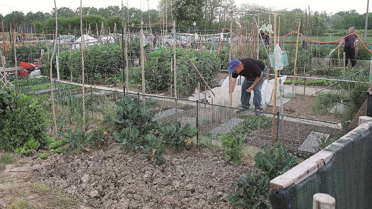 Cesena, orti per anziani: lezioni d'agricoltura e concorso