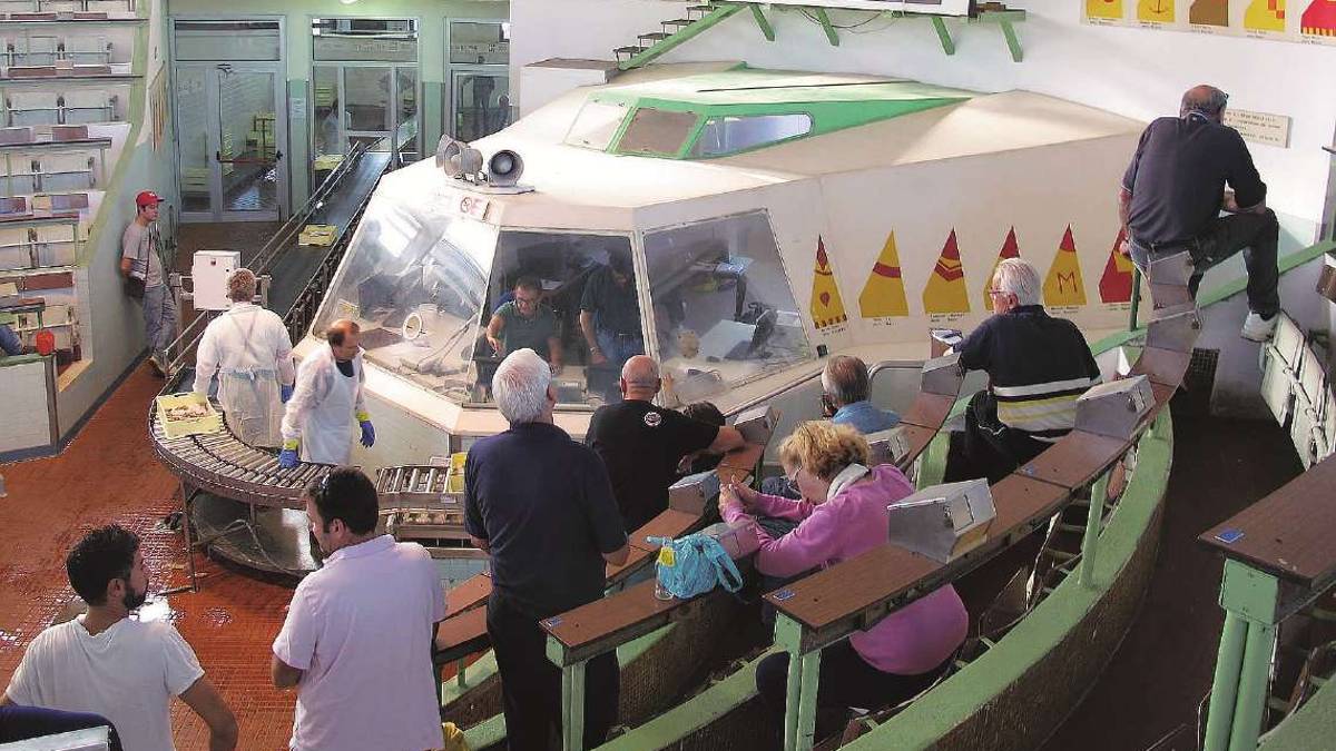 Cesenatico, mercato ittico: 2021 con meno pesce e prezzi in salita