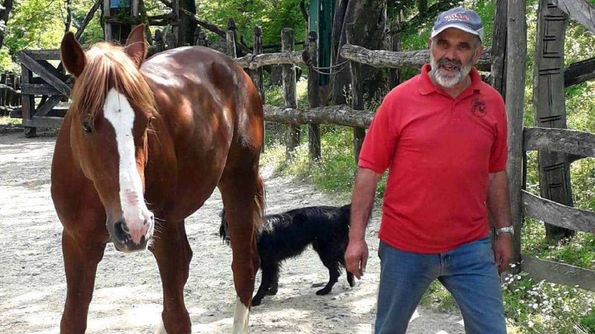 Lupi sulle colline faentine: Attaccano anche i cavalli