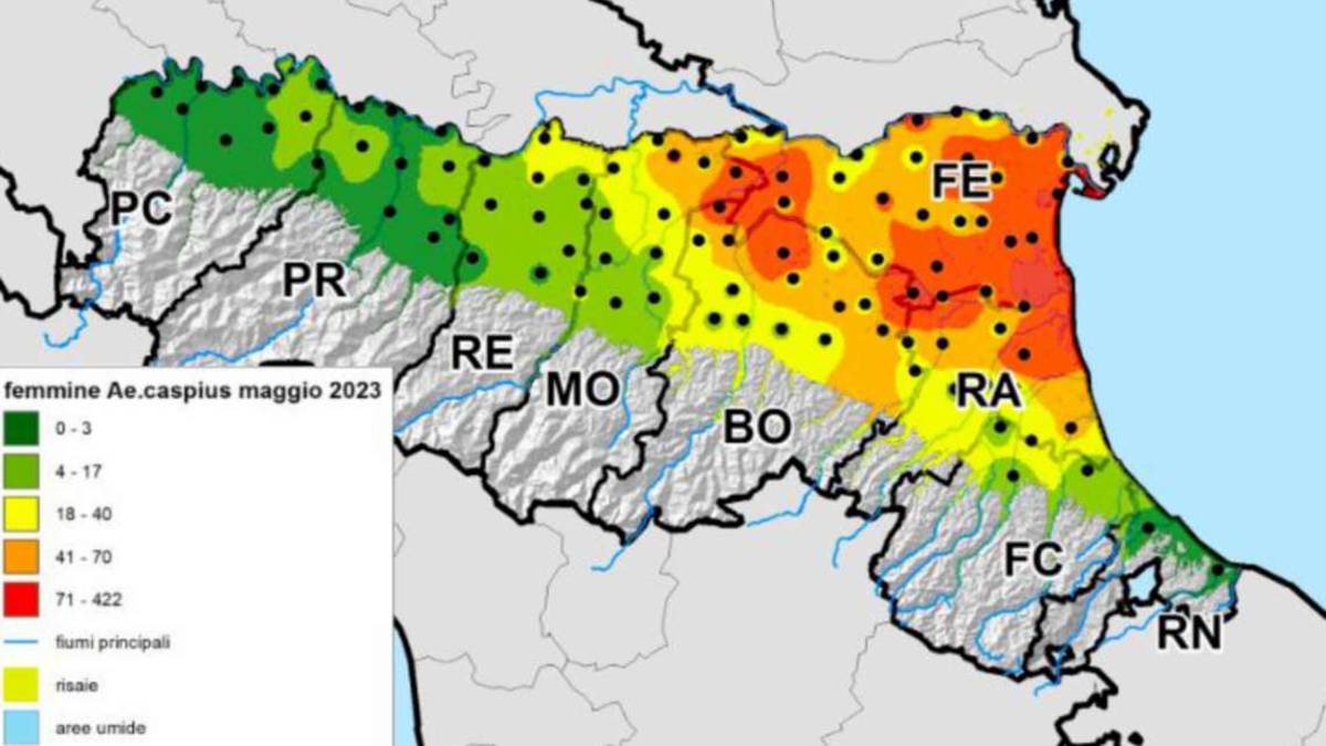 Ravenna. Zanzare, l'invasione continua: è l'ora della tigre