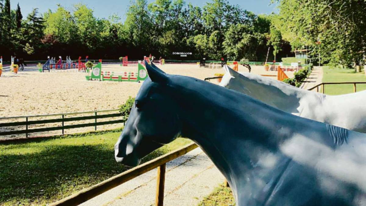 Disarcionata nella gara ippica a Ravenna per un pony in fuga: chiede 40mila euro