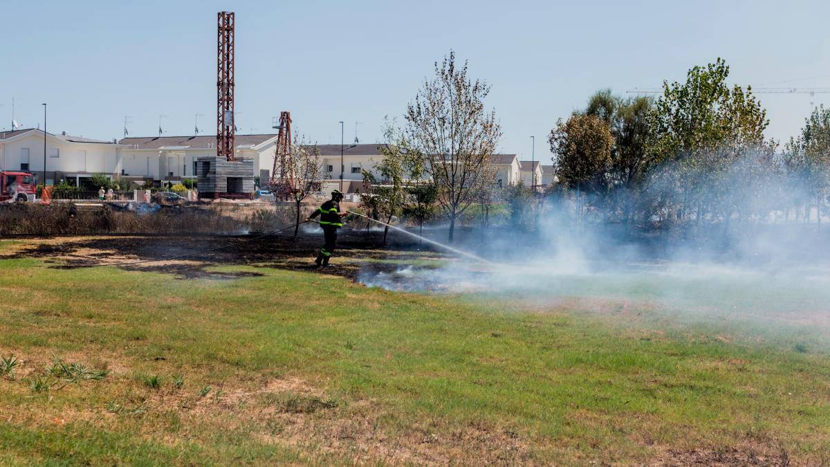 Ravenna e l’incendio al Parco Cesarea, il Comune: “La manutenzione dell’area verde ha evitato l’estendersi dell’incendio” - Gallery