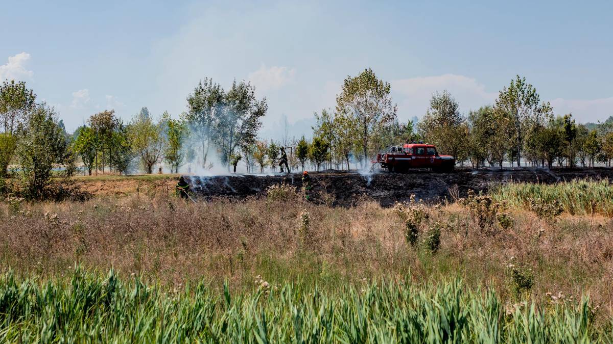 Ravenna e l’incendio al Parco Cesarea, il Comune: “La manutenzione dell’area verde ha evitato l’estendersi dell’incendio” - Gallery