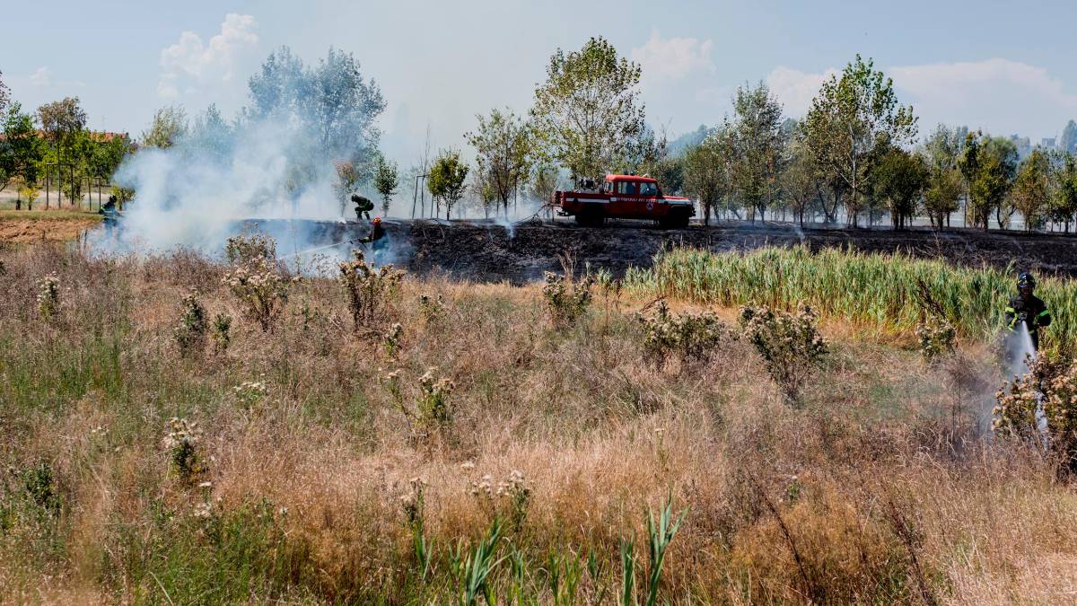Ravenna e l’incendio al Parco Cesarea, il Comune: “La manutenzione dell’area verde ha evitato l’estendersi dell’incendio” - Gallery