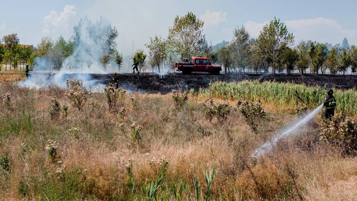 Ravenna, incendio nella zona del Parco Cesarea