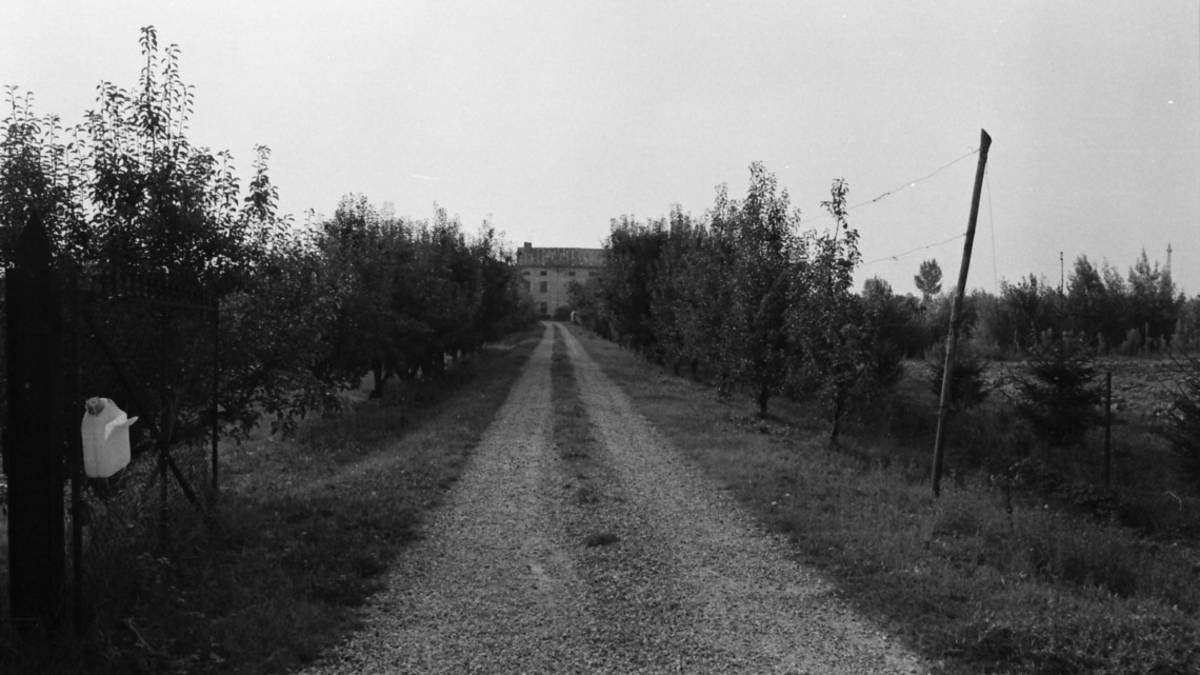 Lugo, Faenza e Bagnacavallo, la fotografia racconta il paesaggio
