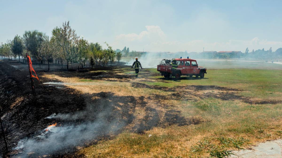 Ravenna, incendio nella zona del Parco Cesarea
