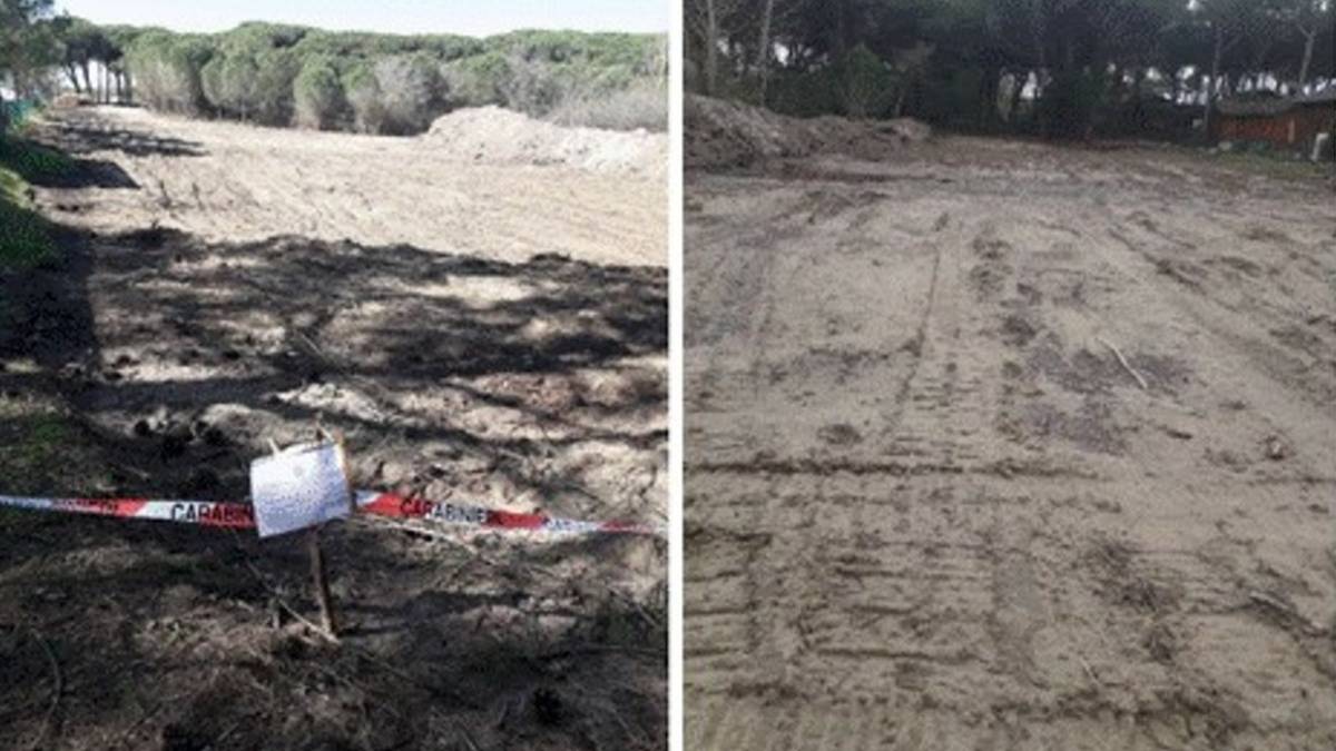 Ravenna, la denuncia: Disboscata la pineta protetta a Marina Romea