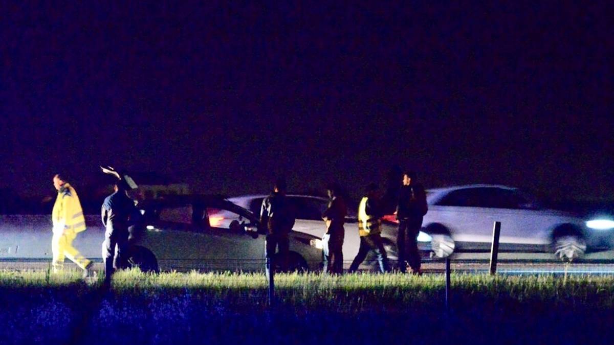 Entra in autostrada a Cesena la notte di Pasqua e investe un capriolo