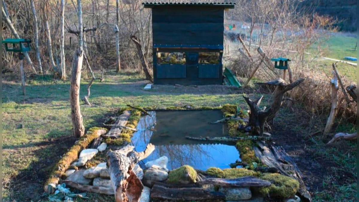 Il capanno e il laghetto realizzati per osservare i volatili rari della zona