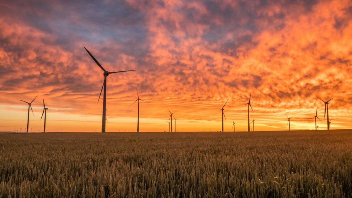 Natalini: la nuova economia verde