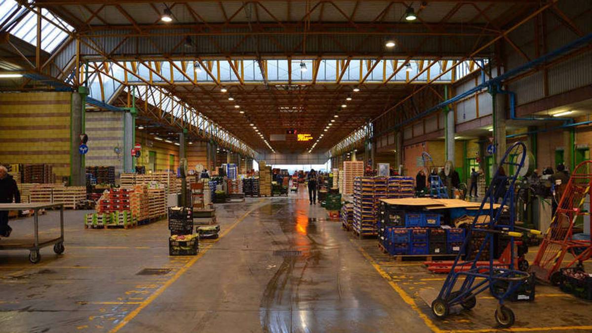 Cesena, entro primavera via ai lavori al Mercato Ortofrutticolo
