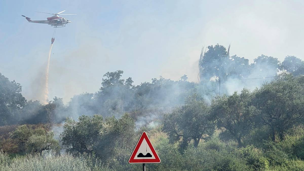 Emilia-Romagna, allerta incendi: invito a non parcheggiare l’auto sopra erba e foglie secche