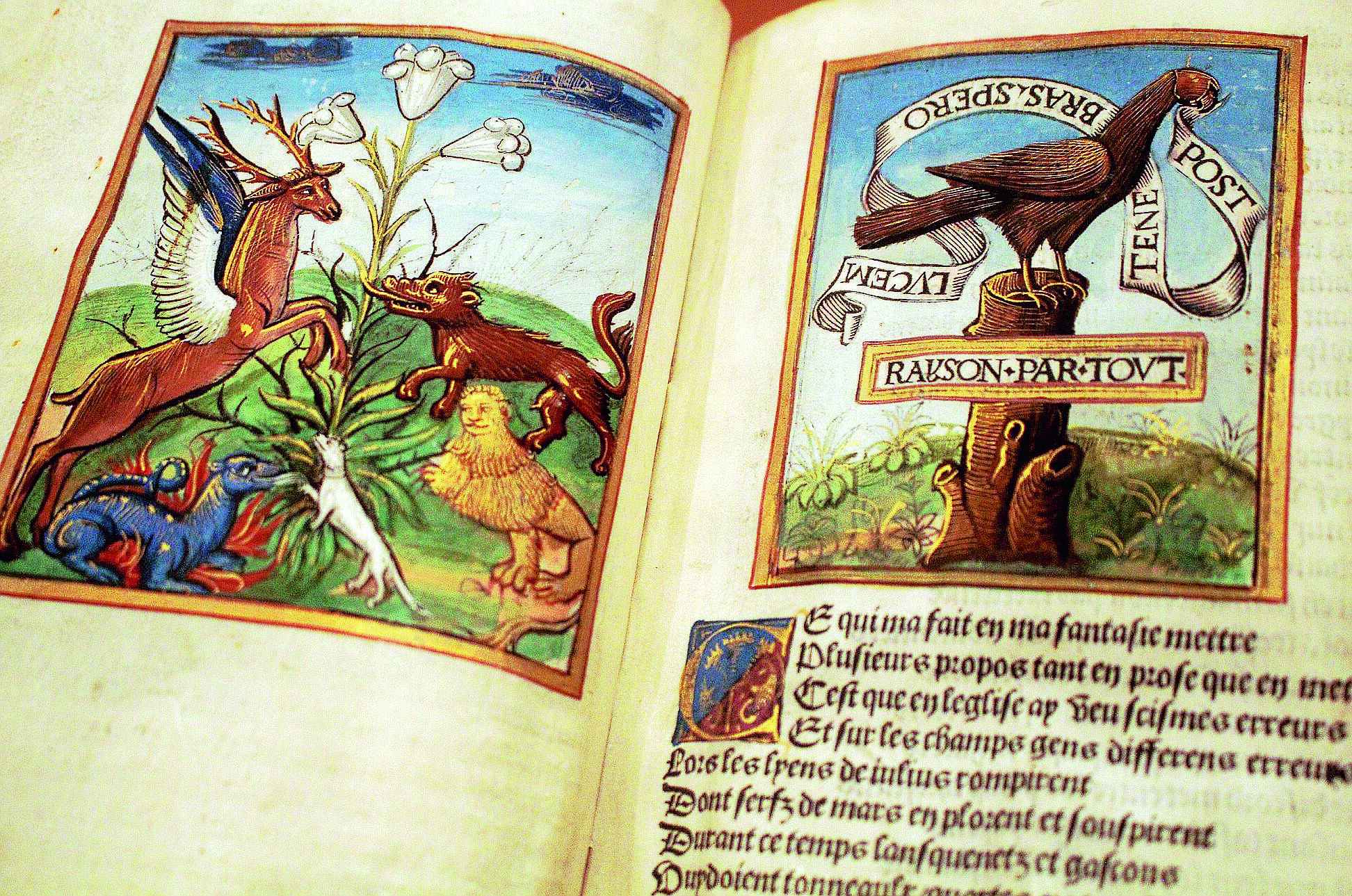 Massèra, grande bibliotecario della Gambalunga di Rimini
