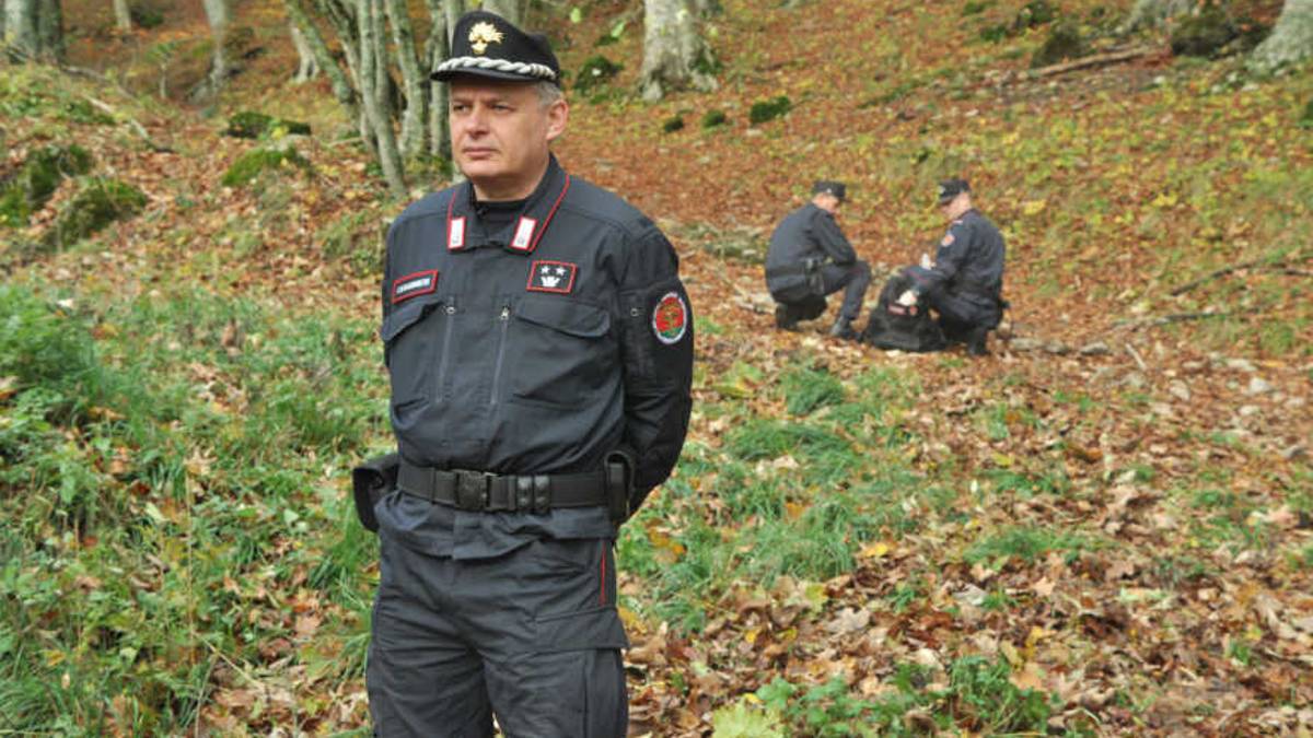 Forlì, Coronavirus: vanno e carcerare funghi e vengono multati