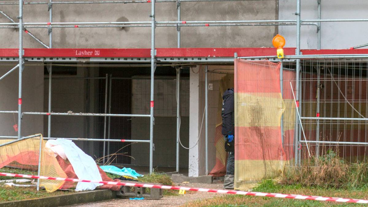 Ravenna: si lancia dal nono piano con la figlia di 6 anni e il cane, la piccola è morta. Una vicina sente dire “no mamma, no mamma”. Il post prima del dramma VIDEO GALLERY