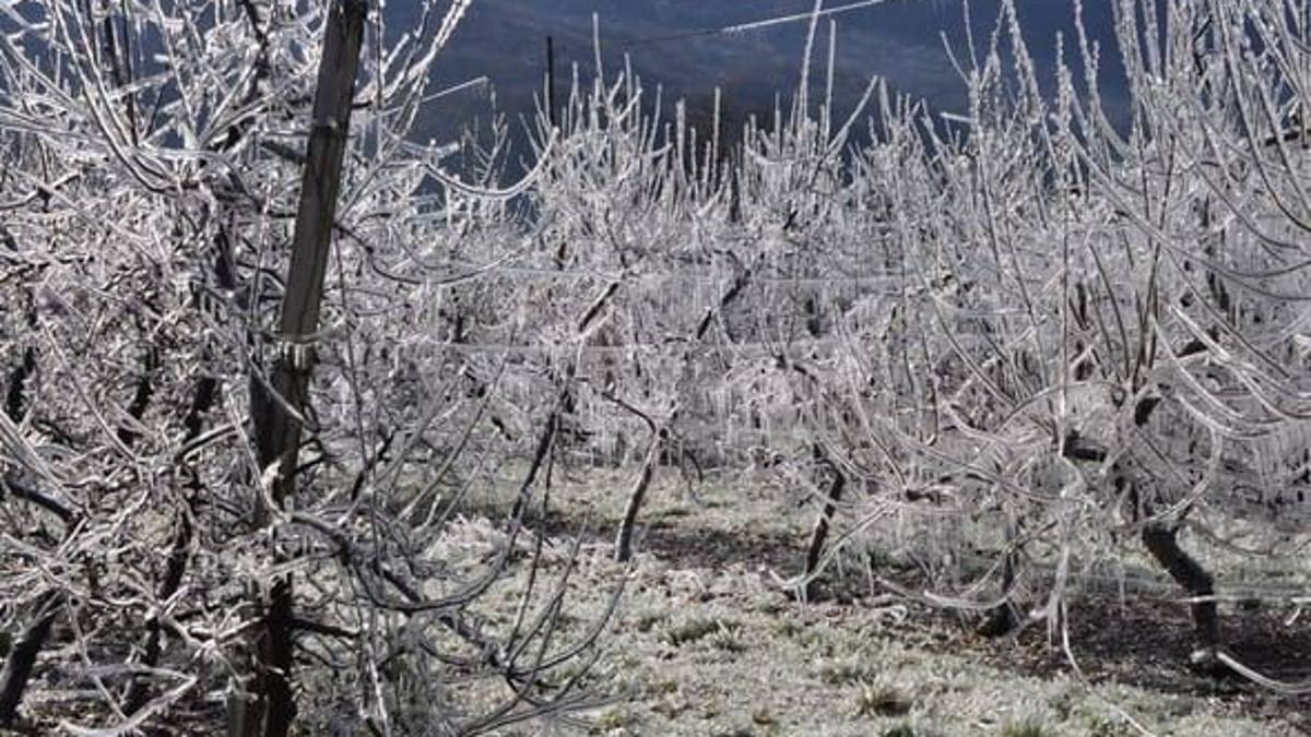Faenza, meteo: sparite le gelate. I dati dell'Osservatorio Torricelli
