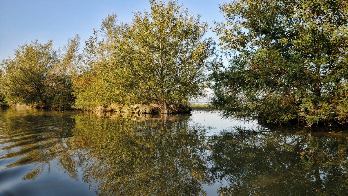 Ravenna, ancora fermo il progetto che dovrebbe salvare valle Mandriole