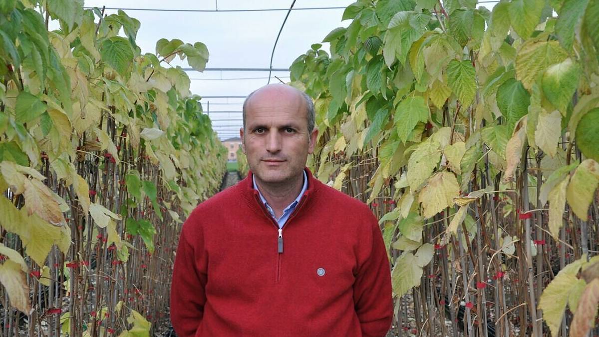 Cesena: un anno fa moriva Gilberto Molari, genio dei piccoli frutti
