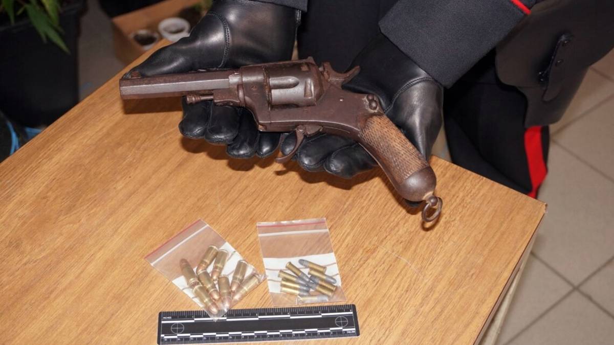 Russi, scoperta serra di marijuana e trovata un'arma da guerra