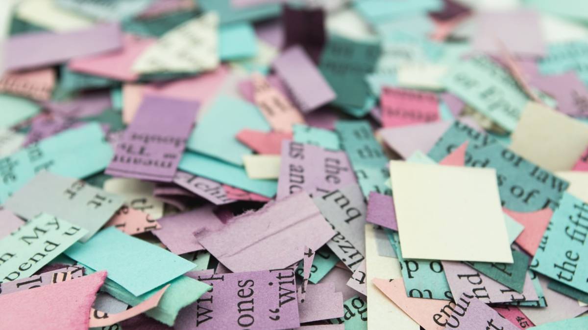 Forlì, la polemica: lascia a terra una busta di carta con fogli strappati, immigrato multato di 200 euro