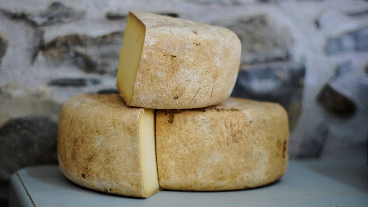 A Forlimpopoli si diventa assaggiatori di formaggi