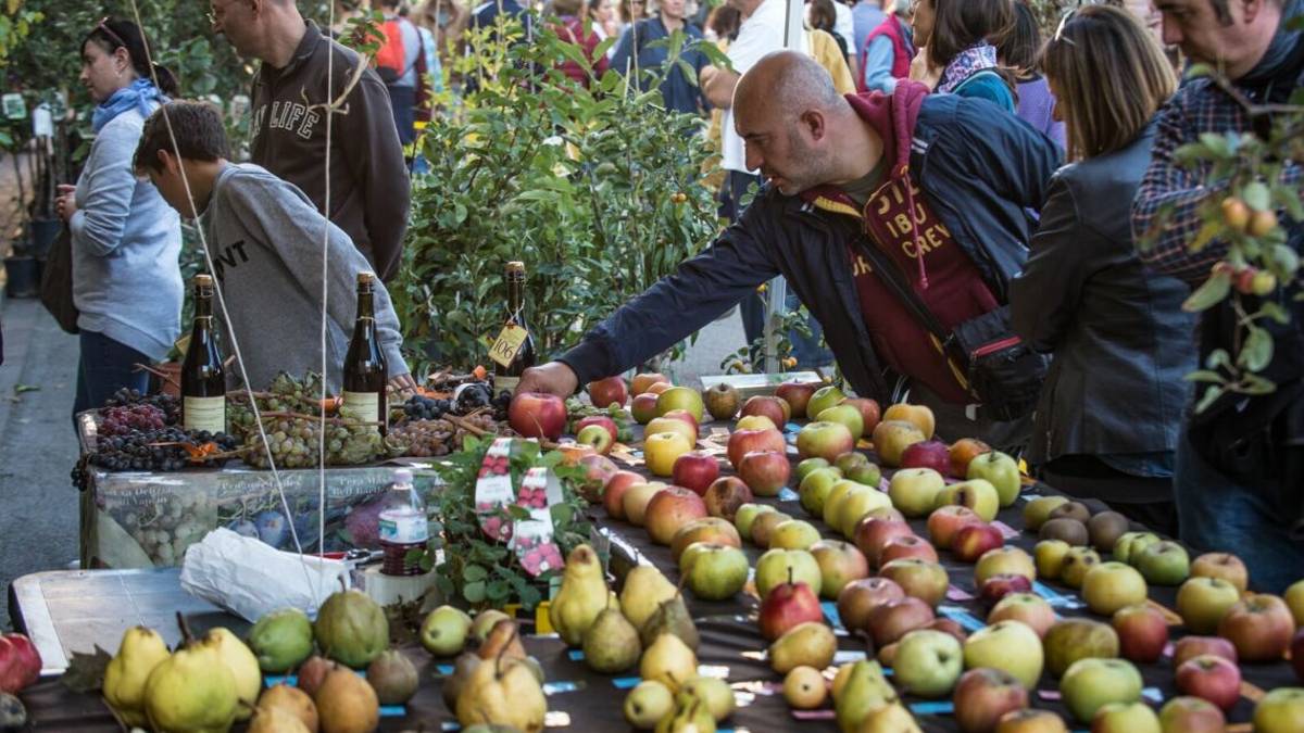Faenza, stop a sagre e fiere
