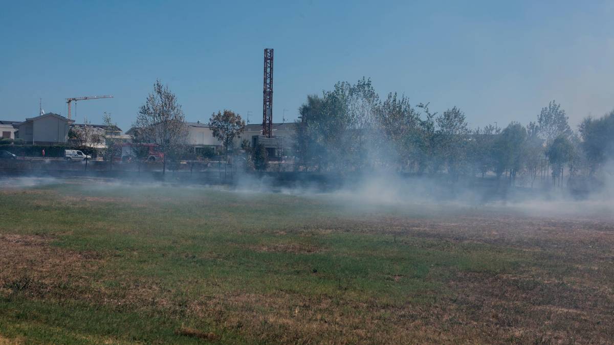 Ravenna, incendio nella zona del Parco Cesarea