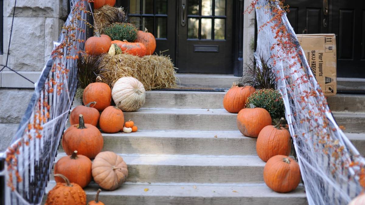Cesena, Halloween: la festa al quartiere Dismano