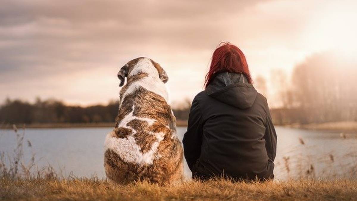 Ravenna, il migliore amico del cane: premiati i partecipanti al corso formativo per i padroni