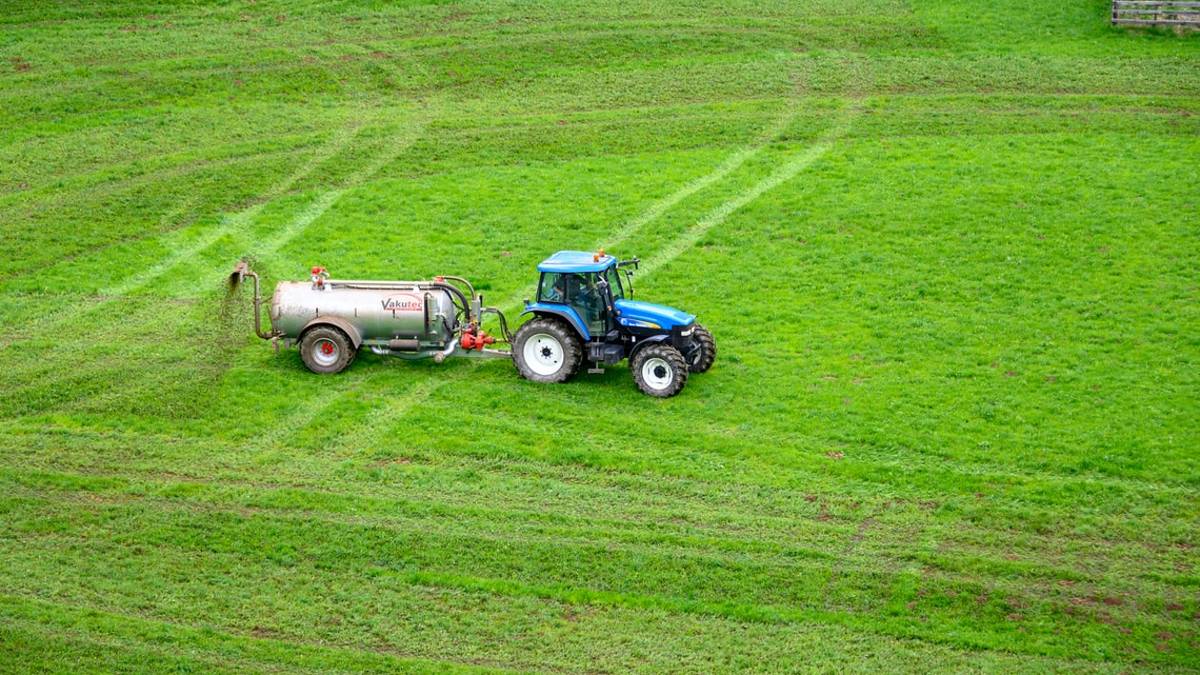L'allarme di confagricoltura: Mancano i concimi, l'Italia dipende dall'estero