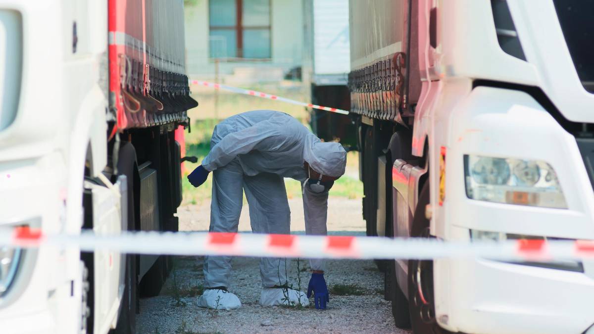 La zona dell’aggressione mortale a Nicola Musiani