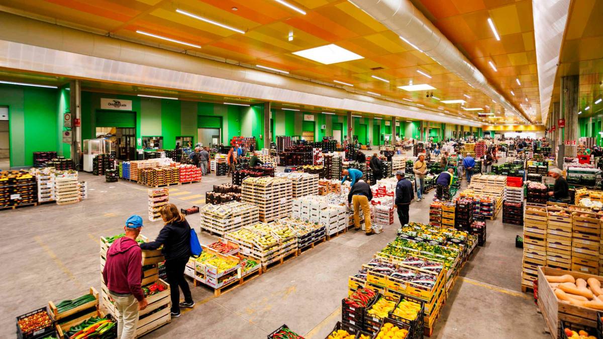 Cesena, inaugurato il nuovo mercato ortofrutticolo