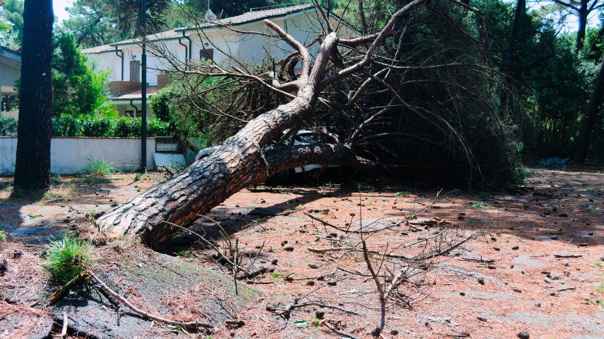 Maltempo, doppio passaggio temporalesco nel Ravennate tra l’alba e stamane tra vento, tuoni e fulmini. Segnalata anche grandine