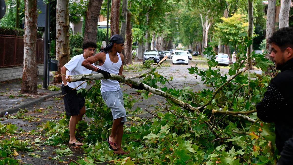 Nubifragio a Forlì: una strage di alberi e rami caduti, chiusi parchi e giardini pubblici FOTOGALLERY