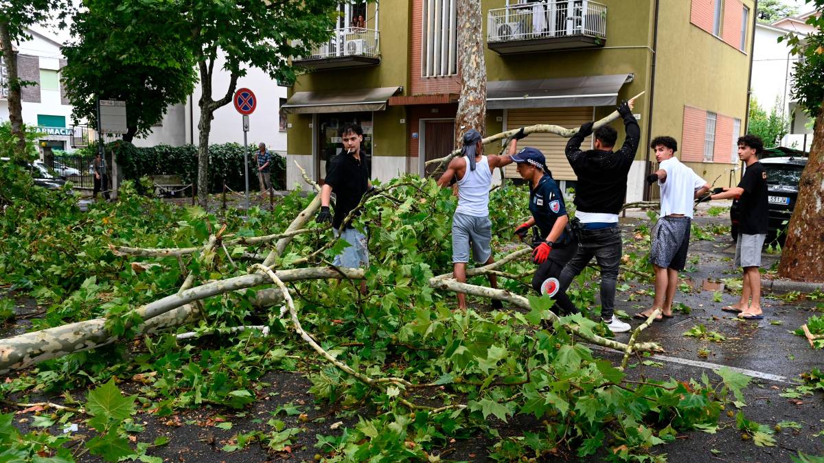 Nubifragio a Forlì: una strage di alberi e rami caduti, chiusi parchi e giardini pubblici FOTOGALLERY