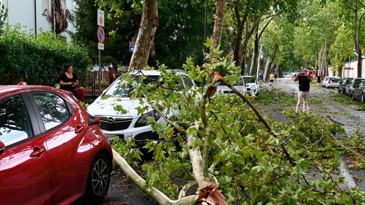 Nubifragio a Forlì: una strage di alberi e rami caduti, chiusi parchi e giardini pubblici FOTOGALLERY