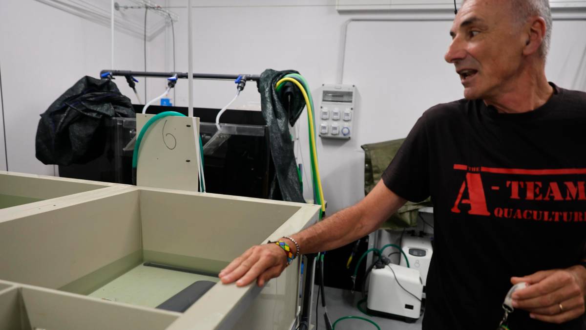 Cesenatico, scatta il progetto “Octo-Blu”: la Regione e l’Ateneo schierano il polpo contro il granchio alieno VIDEO e FOTOGALLERY