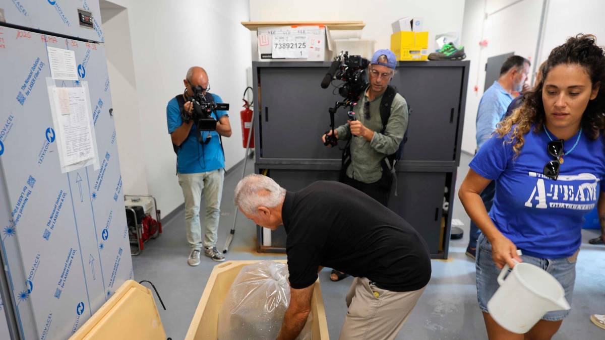 Cesenatico, scatta il progetto “Octo-Blu”: la Regione e l’Ateneo schierano il polpo contro il granchio alieno VIDEO e FOTOGALLERY