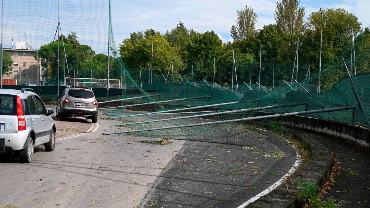 Nubifragio a Forlì: una strage di alberi e rami caduti, chiusi parchi e giardini pubblici FOTOGALLERY