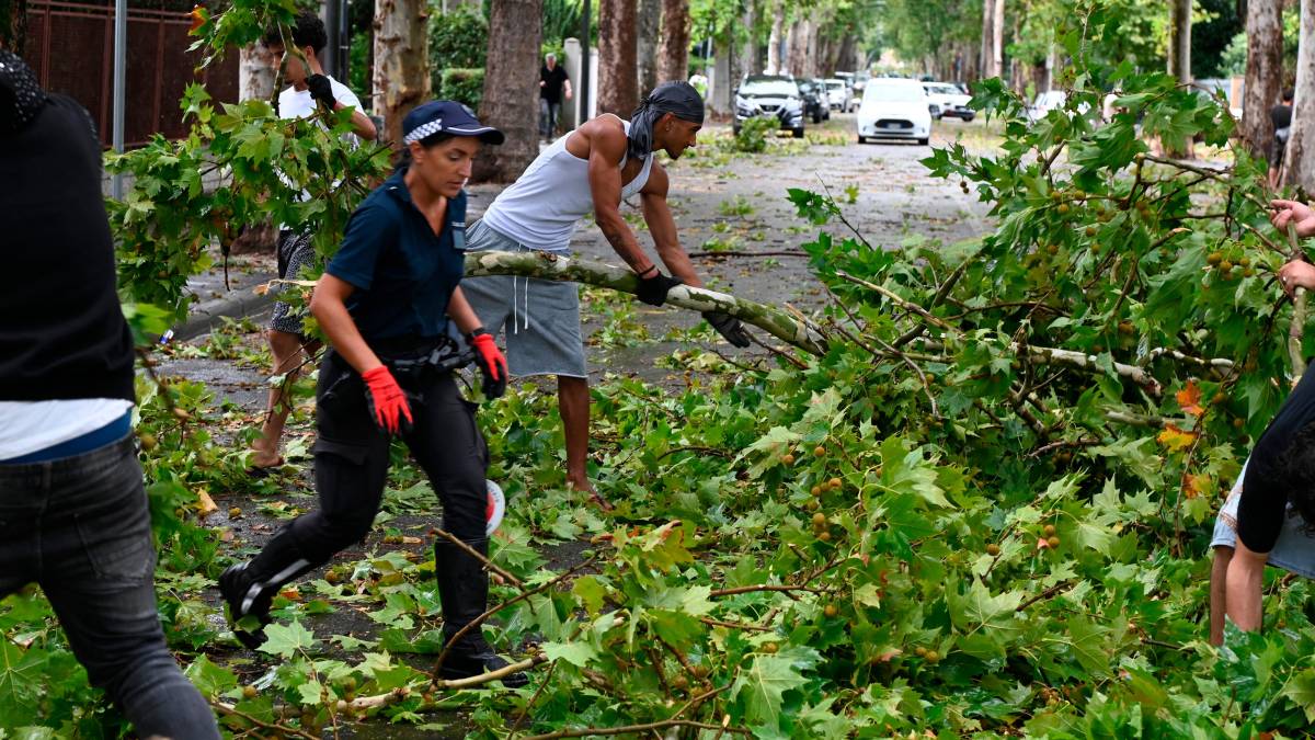 Nubifragio a Forlì: una strage di alberi e rami caduti, chiusi parchi e giardini pubblici FOTOGALLERY