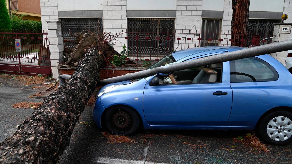 Forlì, bufera del 21 agosto: ecco le prime indicazioni per chi ha avuto dei danni