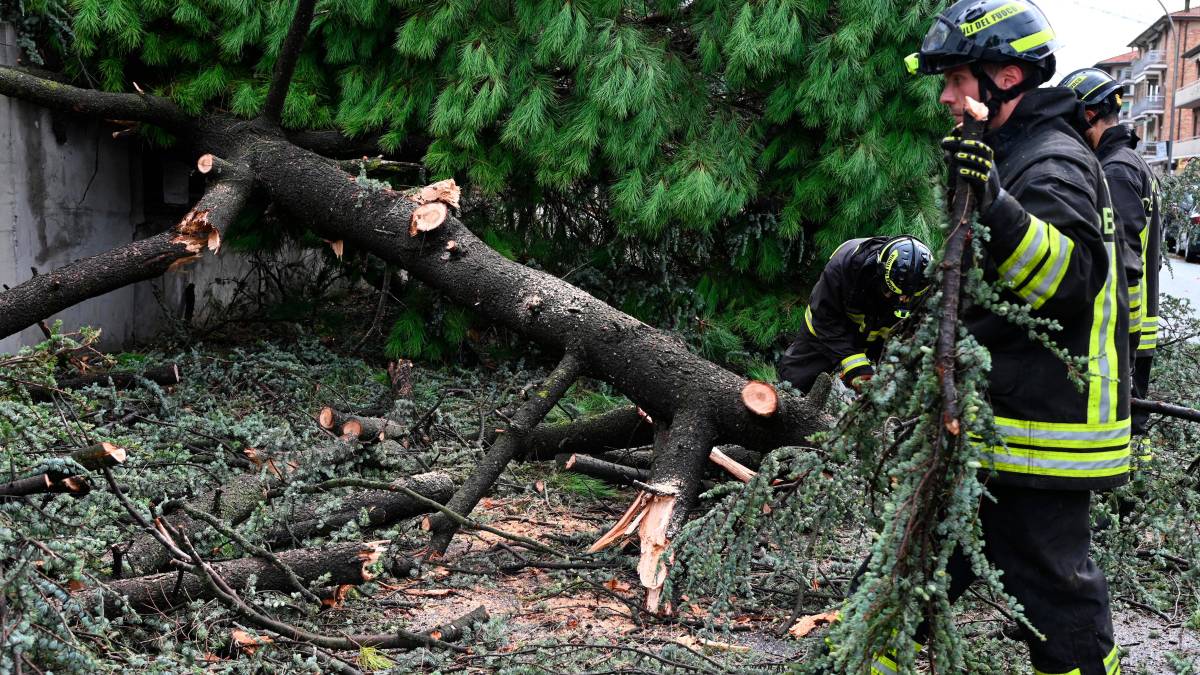 Nubifragio a Forlì: una strage di alberi e rami caduti, chiusi parchi e giardini pubblici FOTOGALLERY
