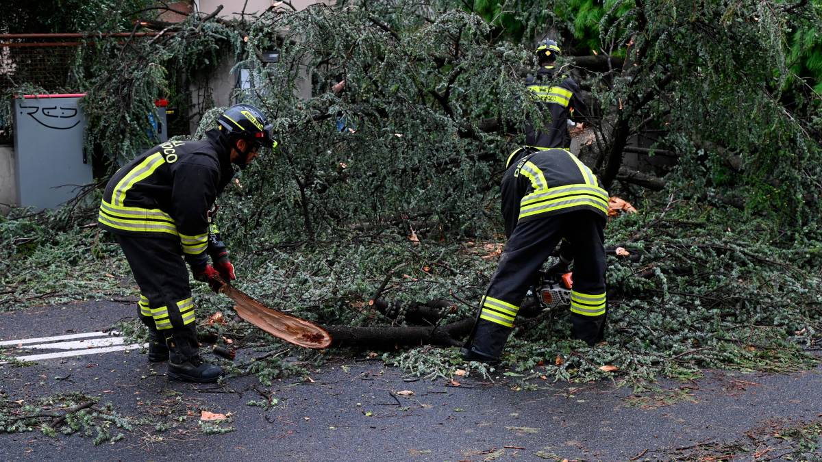 Nubifragio a Forlì: una strage di alberi e rami caduti, chiusi parchi e giardini pubblici FOTOGALLERY