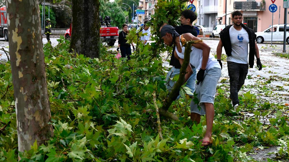 Nubifragio a Forlì: una strage di alberi e rami caduti, chiusi parchi e giardini pubblici FOTOGALLERY